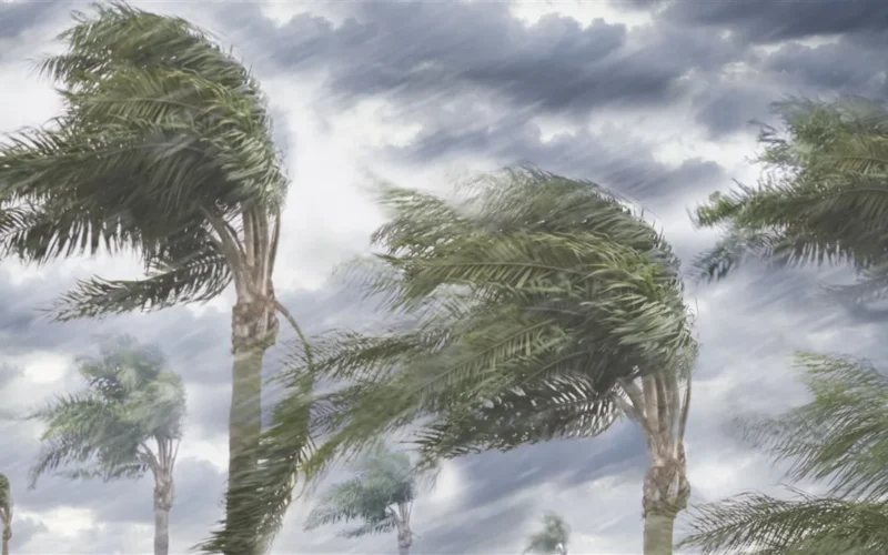 توقعات درجات الحرارة والظواهر الجوية في ثاني أيام عيد الفطر المبارك